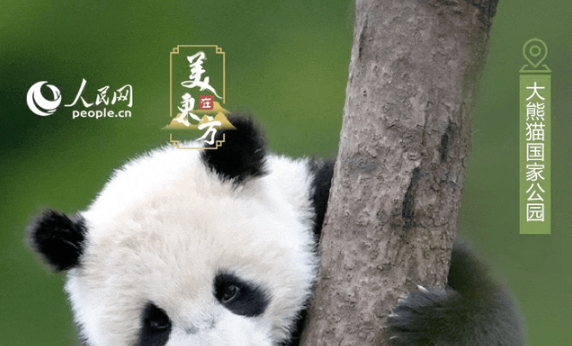 國(guó)際生物多樣性日|看！珍稀動(dòng)植物在這里“C位出道”